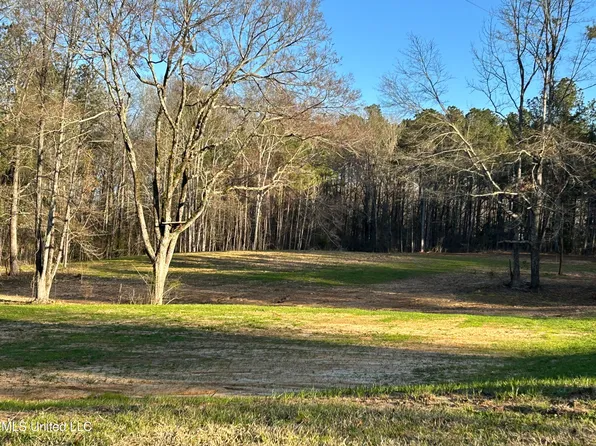 227 Pickering Rd, Florence, MS 39073