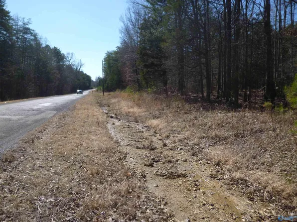 4995 County Road 239, Valley Head, AL 35989