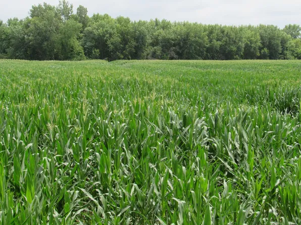 11A Yarrow Blvd, Brighton, IA 52540