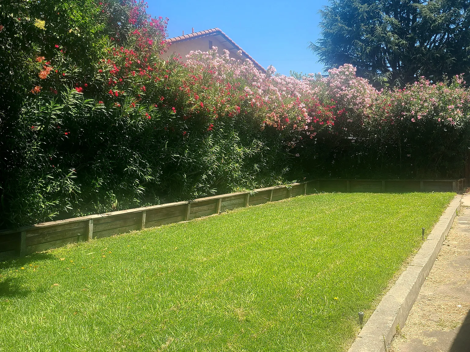 3 bed, 1355 sqft, $3,395 — Photo 3