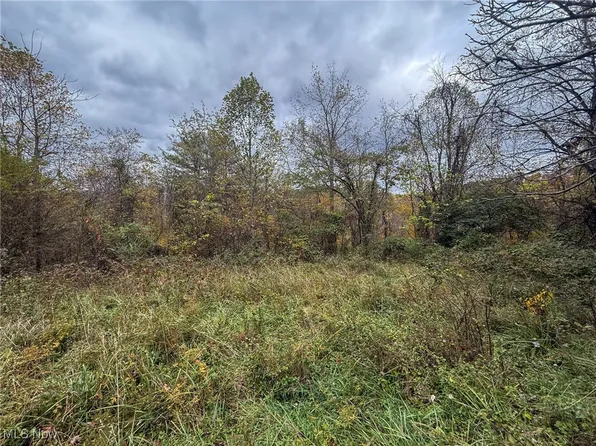 Pearl Wood Rd, Albany, OH 45710