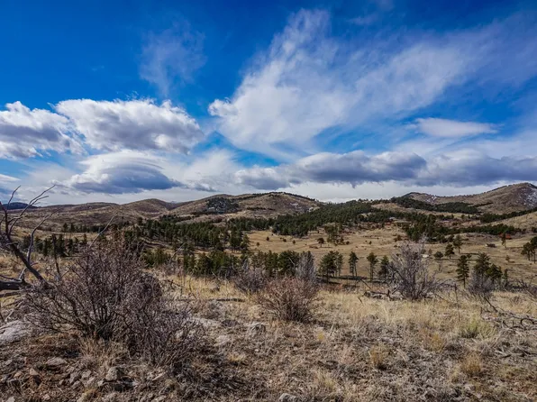 604 Shannon Trl, Cotopaxi, CO 81223
