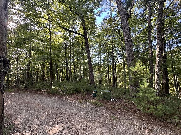 4th image of 73-76 Peach Ln