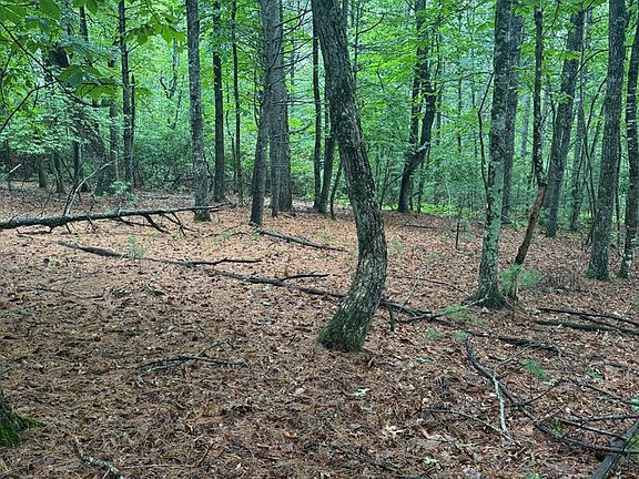 3rd image of Fox Spring Ln
