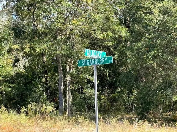 60 W Goldcoast Pl #8, Dunnellon, FL 34434