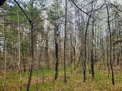 1410 Gene St, Crivitz, WI, 54114