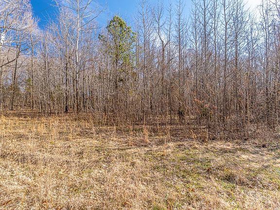 2nd image of County Road 389
