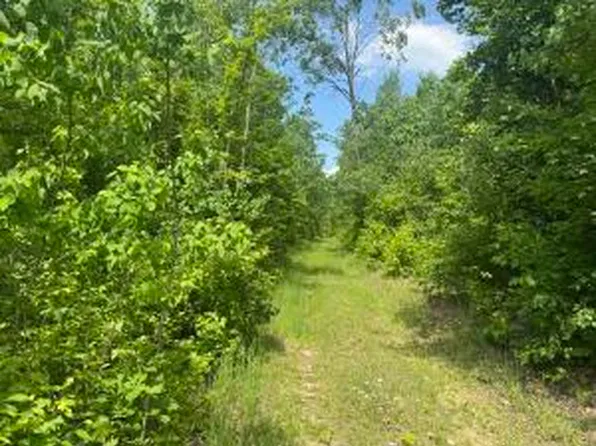 Off Of Lakeside Trl, Barton City, MI 48705