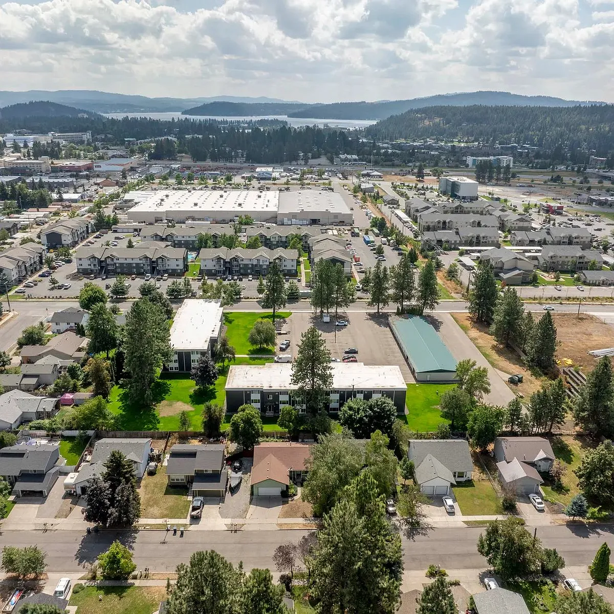 Building Photo - White Pine