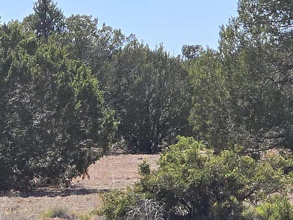1st image of 8012 Daisy Dr