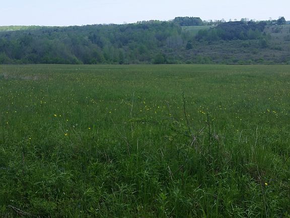 Cleared & ready to build on