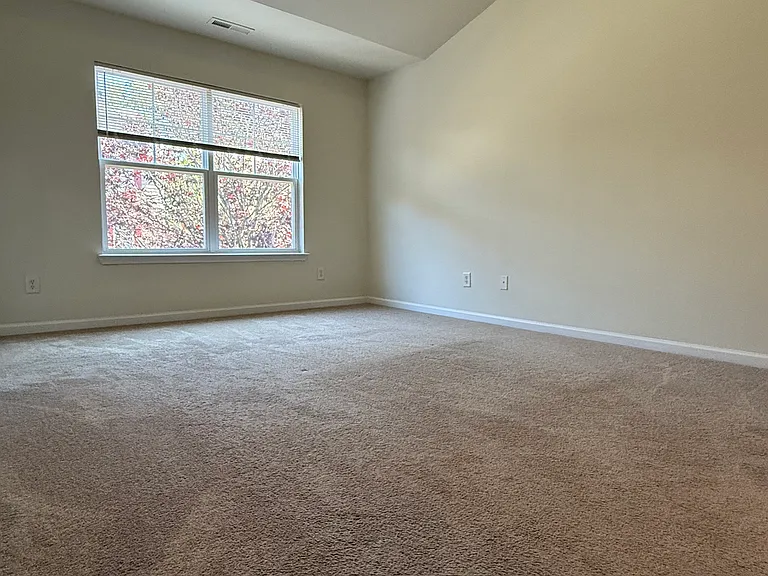 245 Linden Park Ln — Photo 17
