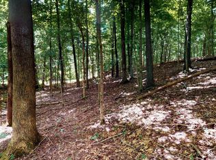 Champion Hills Lots #32-33-31, Kuttawa, KY 42055