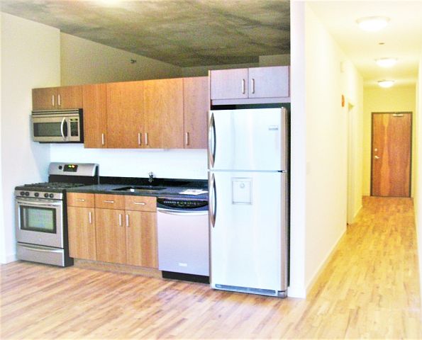 2nd image of 1720 S Michigan Ave APT 204