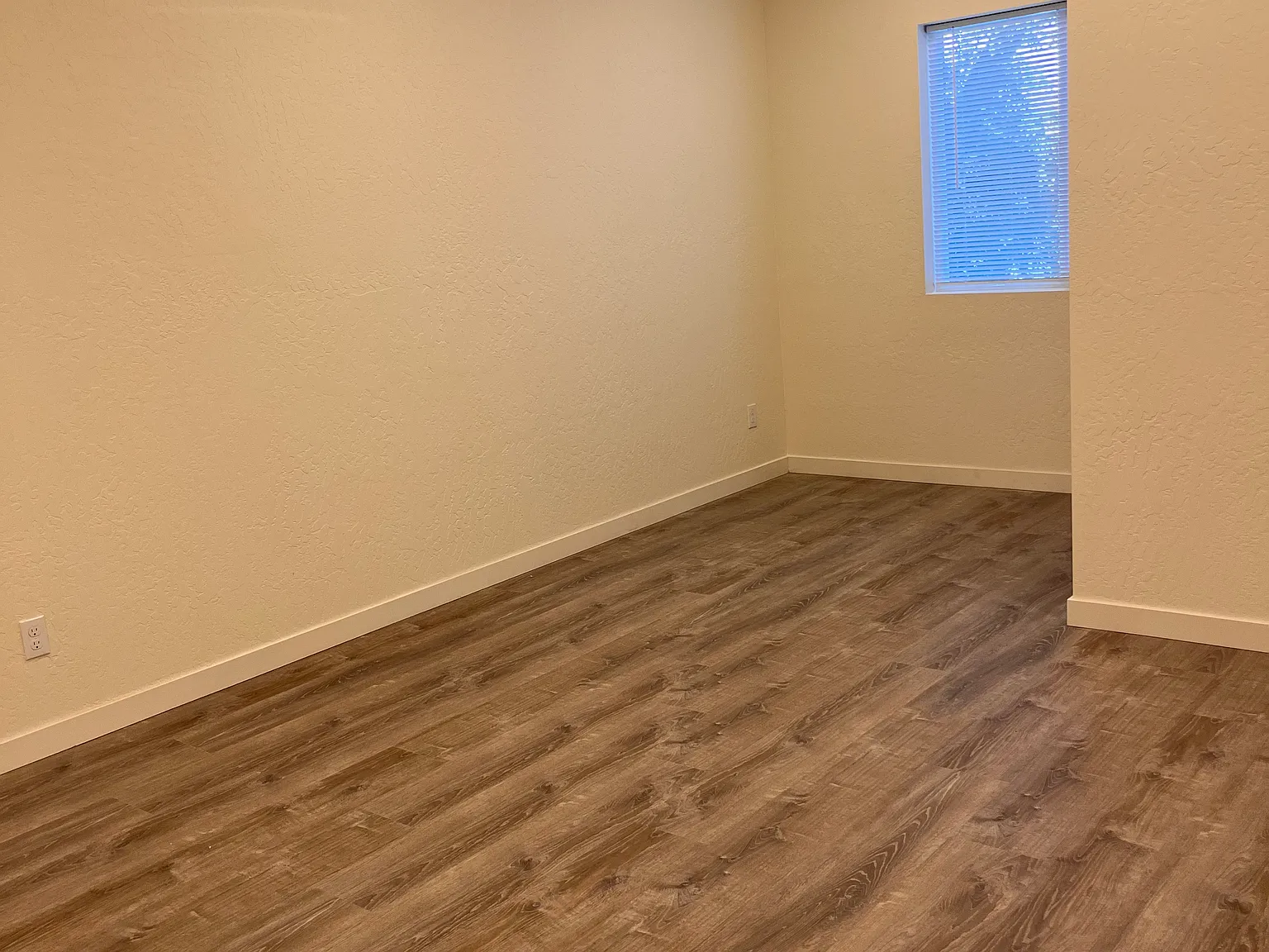 Studio, $950 — Photo 4