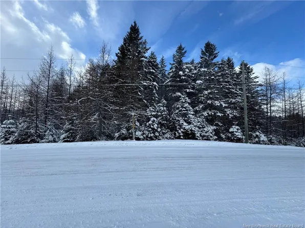 Francoeur Hill Rd, Denmark, NB E7G 1R6