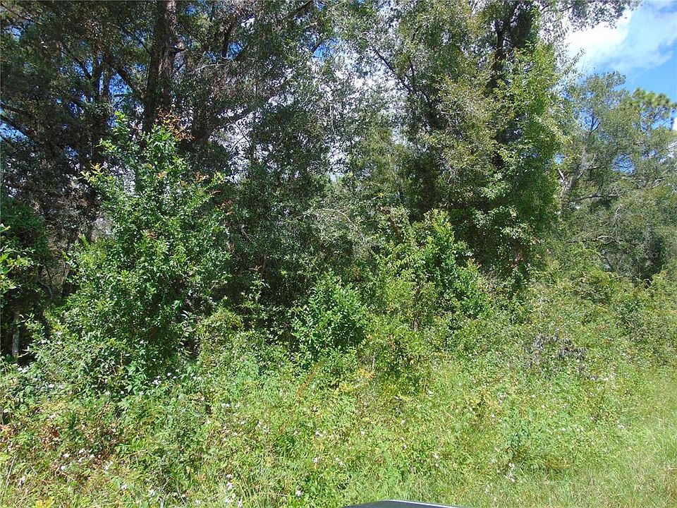 2nd image of 4766 SW 125th Rd