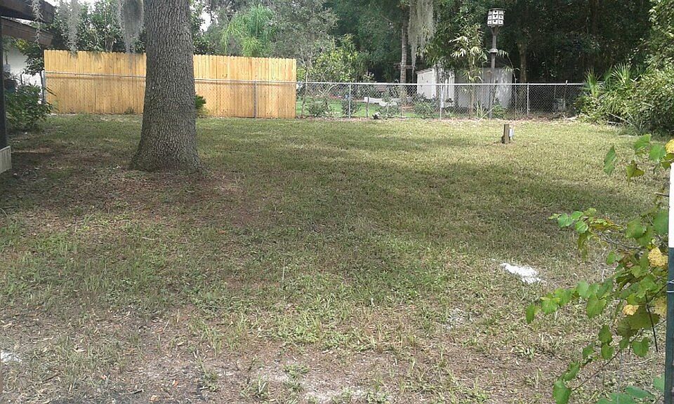 Back yard