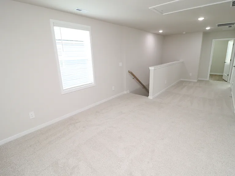 4129 Hazel Branch Way — Photo 21