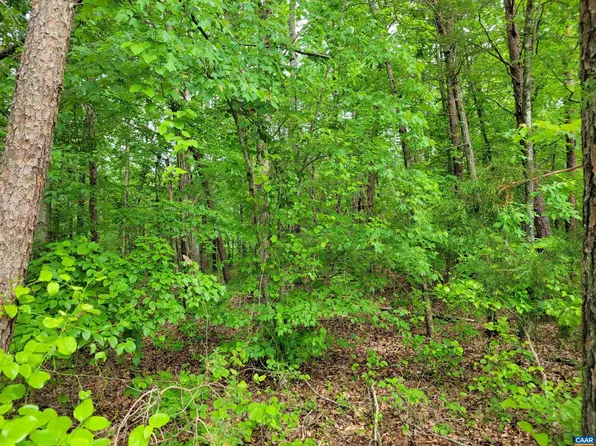 1 Piney Mountain Ln, Shipman, VA 22971