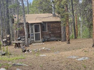 41 High Three Cir, Leadville, CO 80461