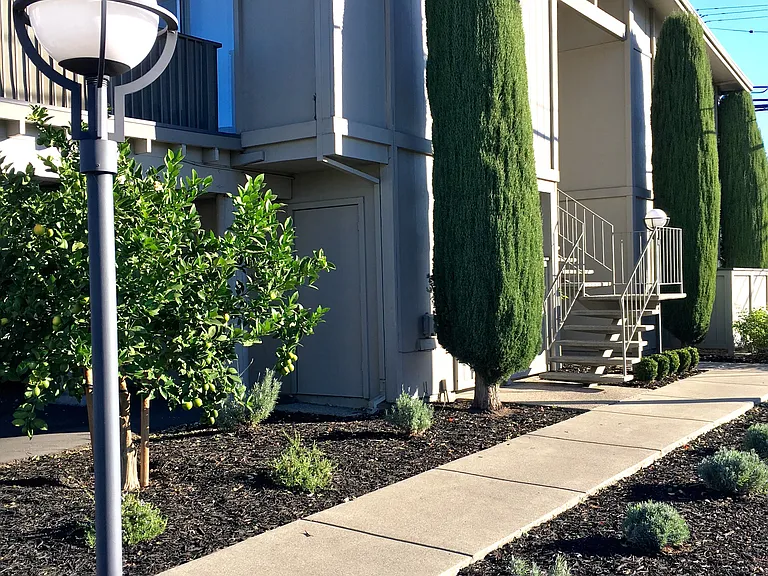 Olive Tree Apartments — Photo 27