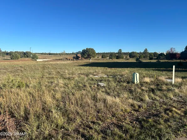 1041 Lorenzo Sitgreaves Dr, Show Low, AZ 85901
