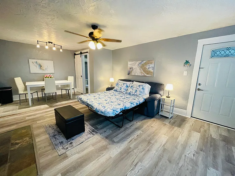 Living room with queen size pull out couch