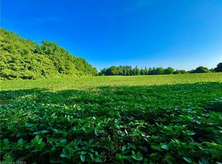 81 Howell Rd, Brant, ON N0E1N0