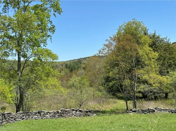 Bull Run Rd #5, Margaretville, NY 12455