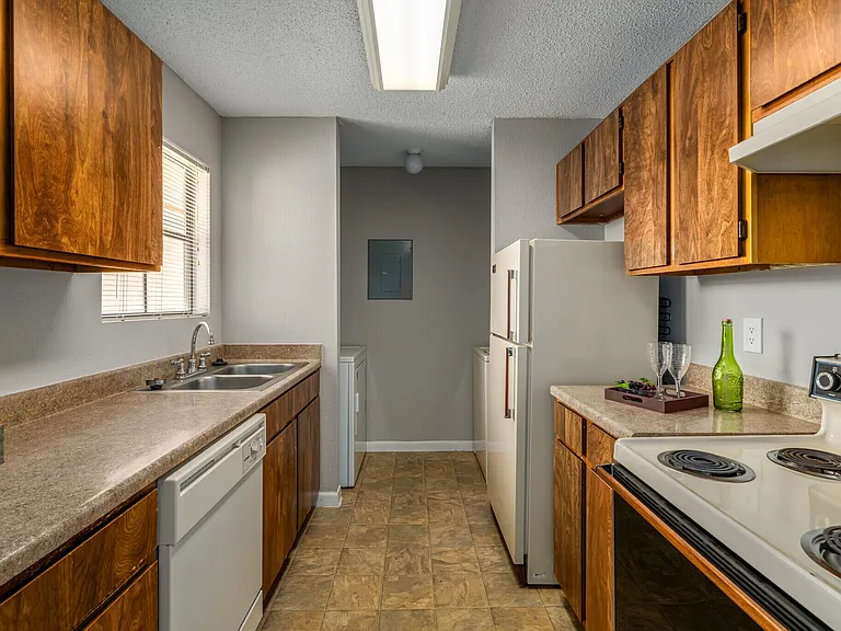 Remington — Photo 28