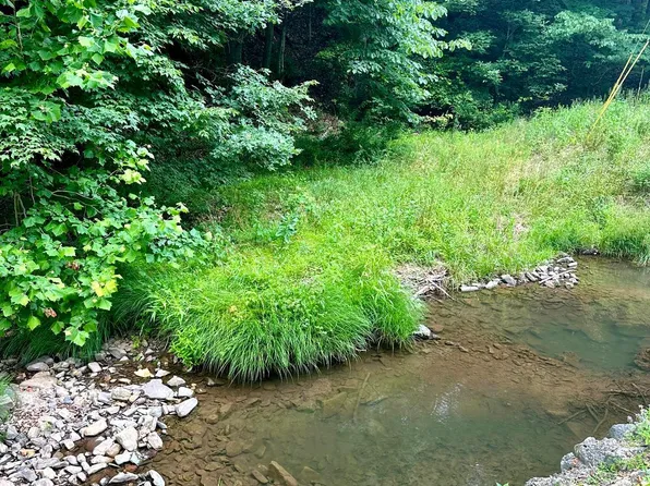 164 Branch Mountain Rd, Moorefield, WV 26836