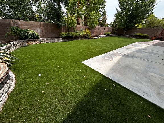 Back yard
