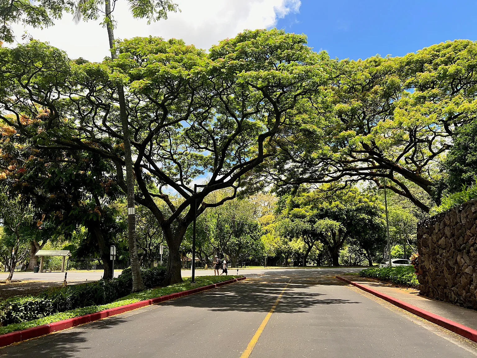 1511 Nuuanu Ave — Photo 3