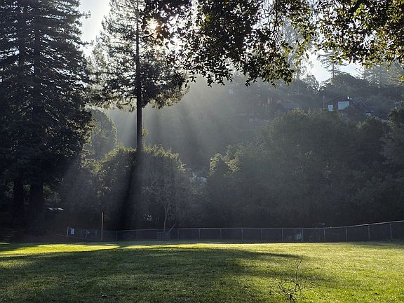 The secluded baseball field is right next door. You can hear the owls at night and early in the morning. It's quite magical to witness.