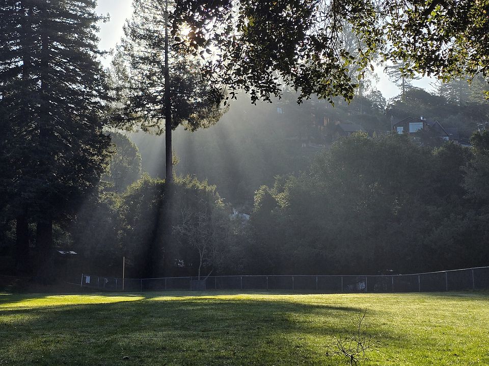 The secluded baseball field is right next door. You can hear the owls at night and early in the morning. It's quite magical to witness.