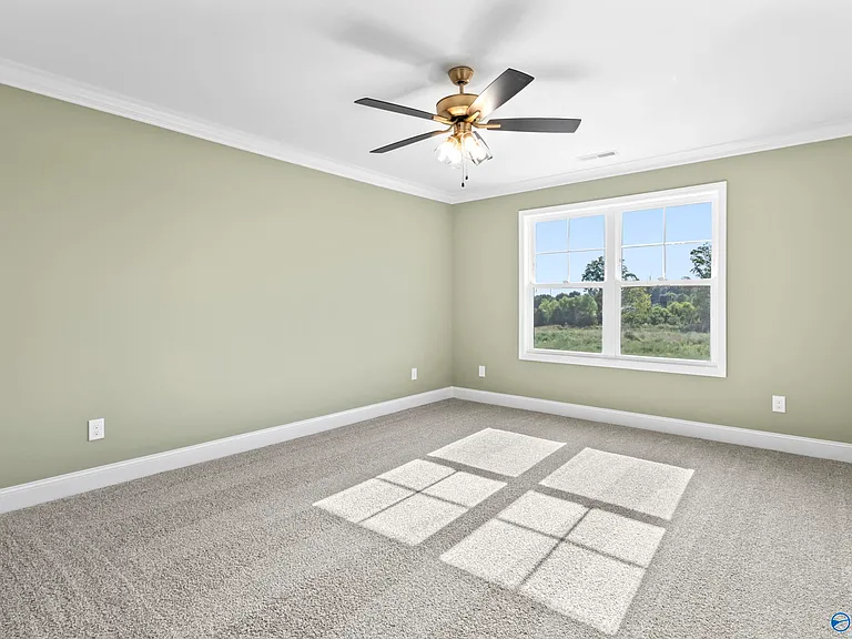 243 Susan Lynn Dr — Photo 10