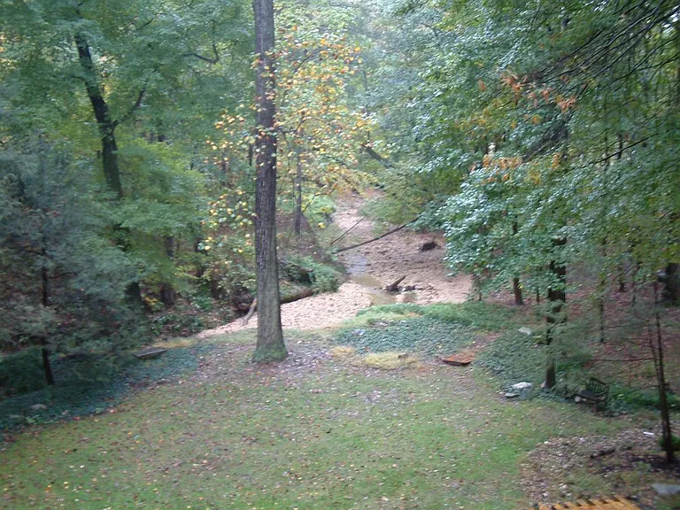 BACKYARD WITH MEANDERING CREEK