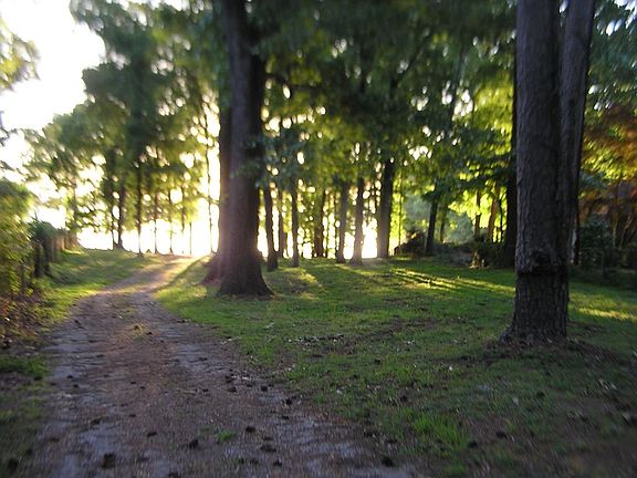 5th image of 3858 County Road 91
