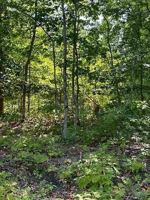 1st image of LOT 105 Big Piney Loop