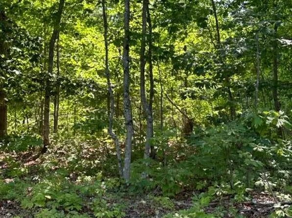 LOT 105 Big Piney Loop, Wilder, TN 38589