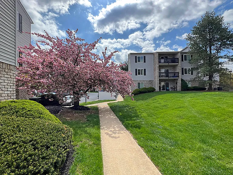 Society Hill — Photo 15