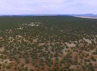 6113 Shipley Rd Vacant Land #314-53-003, Peach Springs, AZ 86434