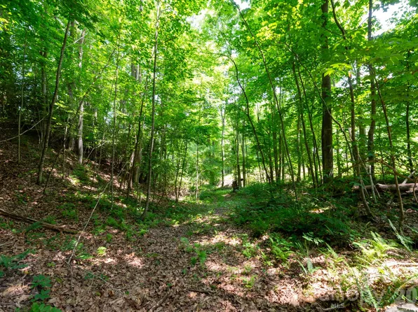 Board Tree Rd #4, Marshall, NC 28753