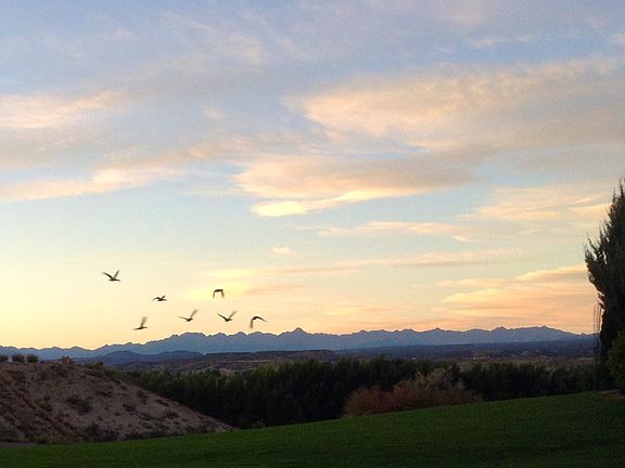 Dawn over our neighborhood 