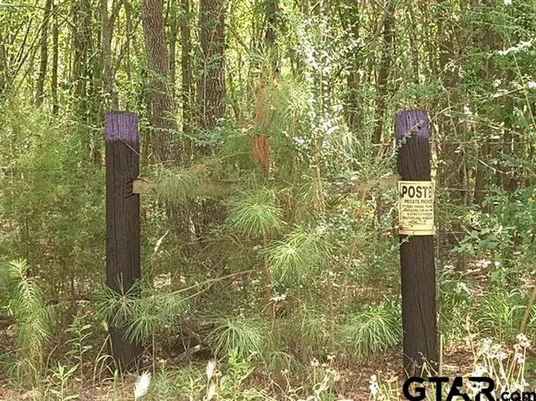 County Road 2151, Troup, TX 75789