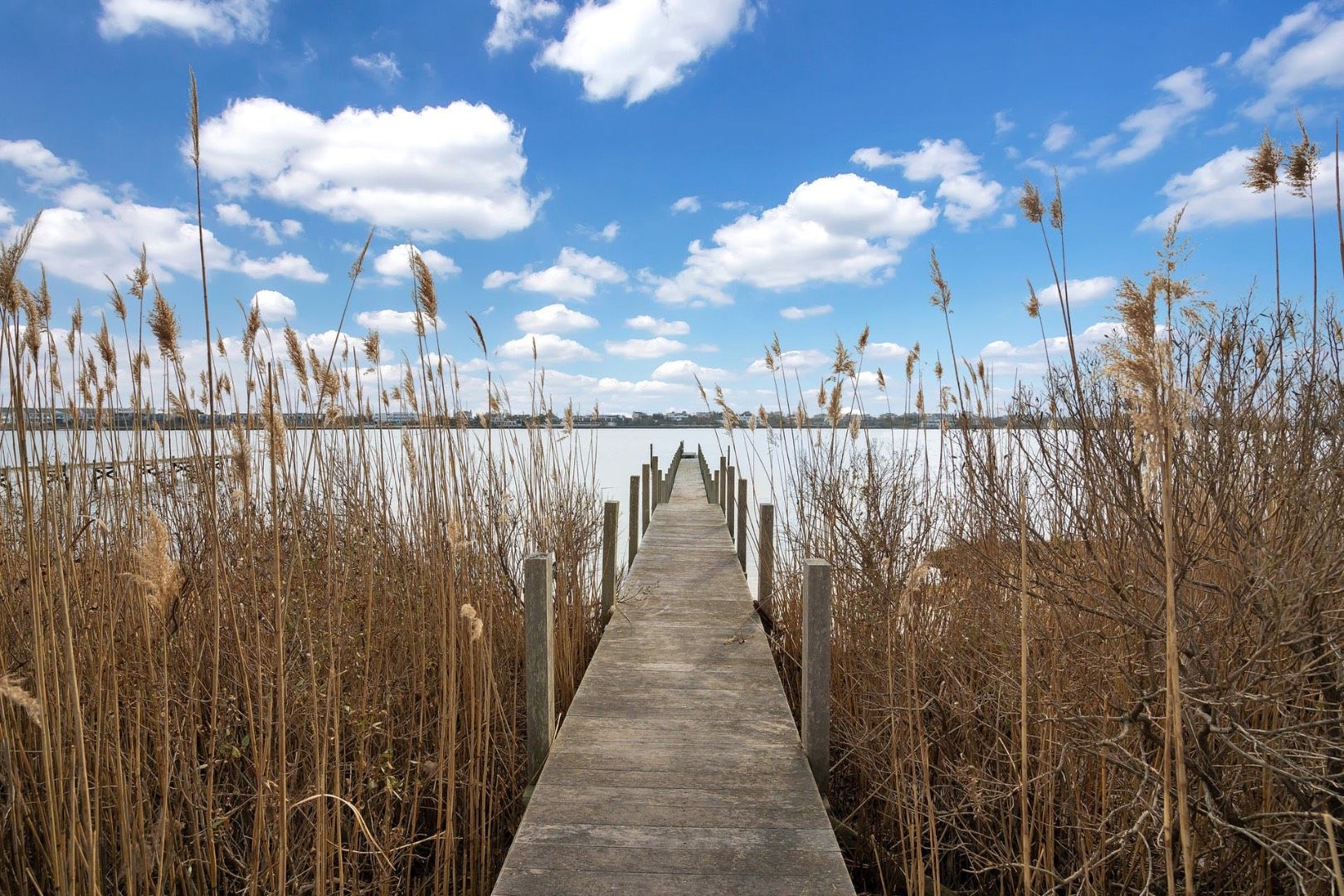  Dock