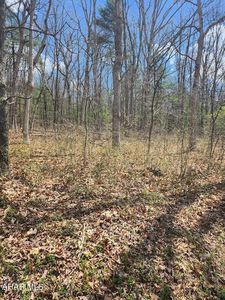 361 Mechanics Hollow Rd, Clearville, PA, 15535