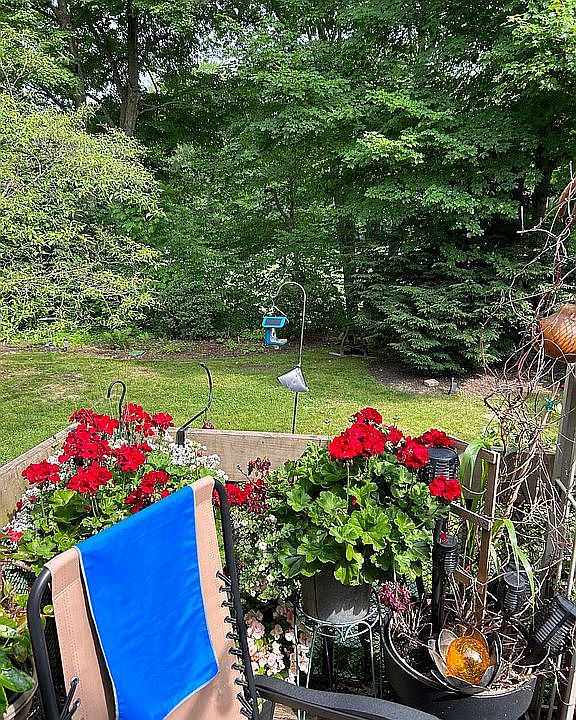 View from deck
