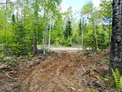 Lot 12-1A Hale Farm Road, Lee, ME, 04455